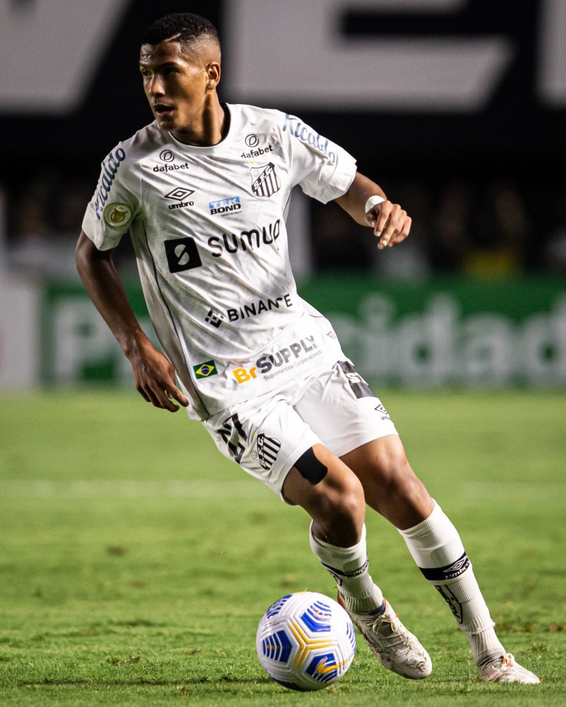 高水平羽毛 高水平羽毛