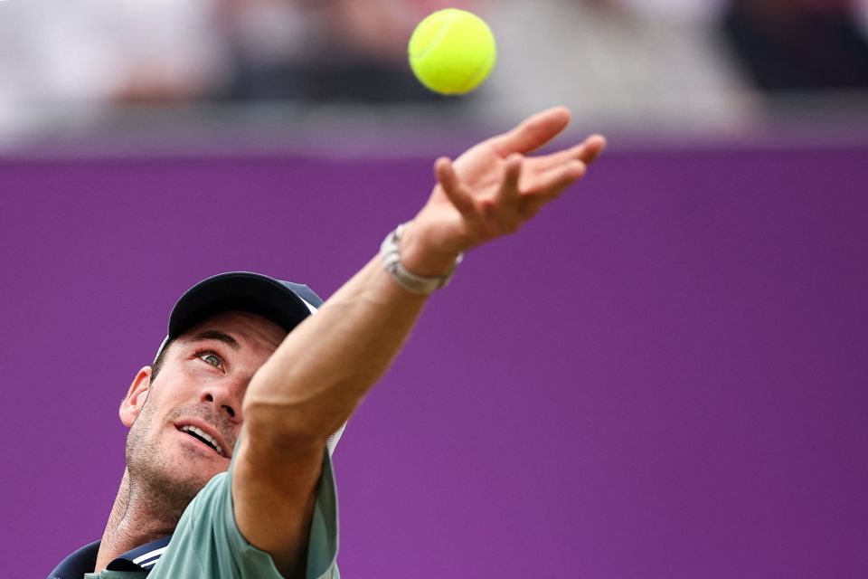 乐部提供了 乐部提供了