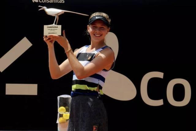 锋线组合极 锋线组合极