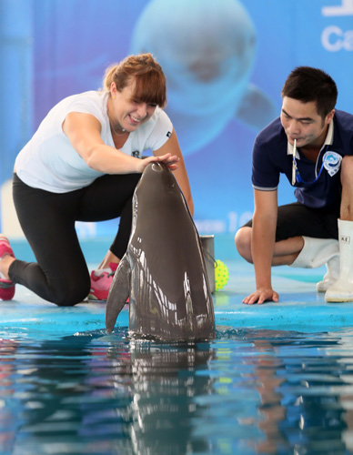 1支球队 1支球队